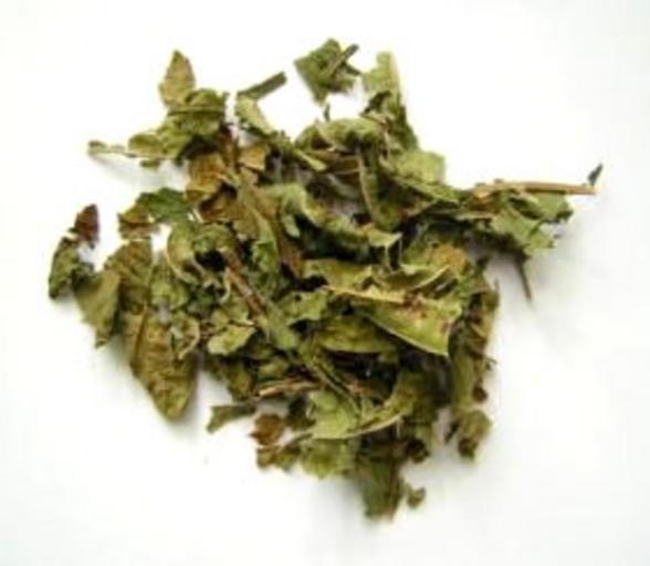 Strom s dobrou náladou