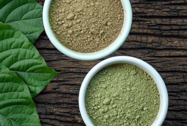 Kratom střed pozornosti